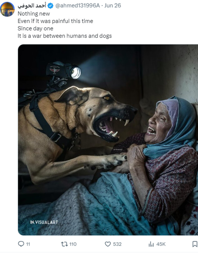 הקמפיין הפלסטיני על האישה שהותקפה על ידי כלב שחמאס חטף (צילום: מתוך תיעוד שעלה ברשתות החברתיות, שימוש לפי סעיף 27א' לחוק זכויות יוצרים)