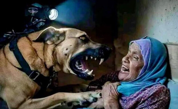 הקמפיין בעזה סביב הכלב והאישה