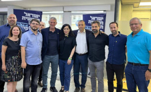 הדמוקרטים, מפלגת העבודה, מרצ