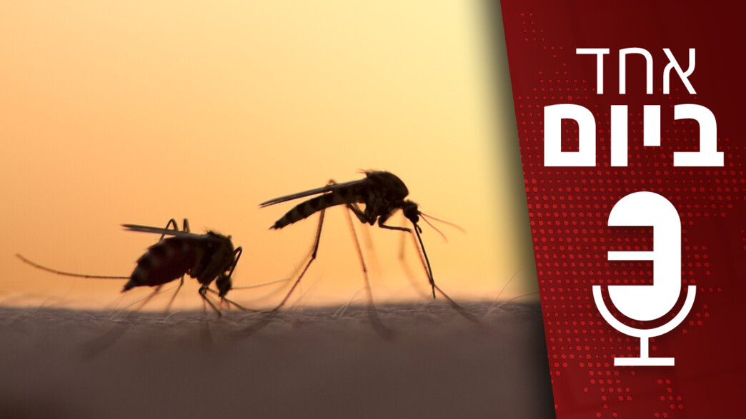 אחד ביום - 02.07.2024