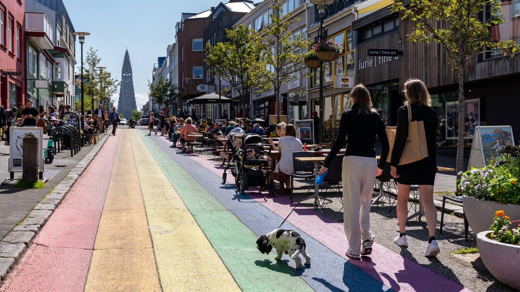 רייקיאוויק איסלנד כלב