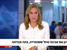 19aviva_vtr2_n20240707_v1 (צילום: חדשות)