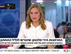 19kill_vtr2_n20240707_v1 (צילום: חדשות)