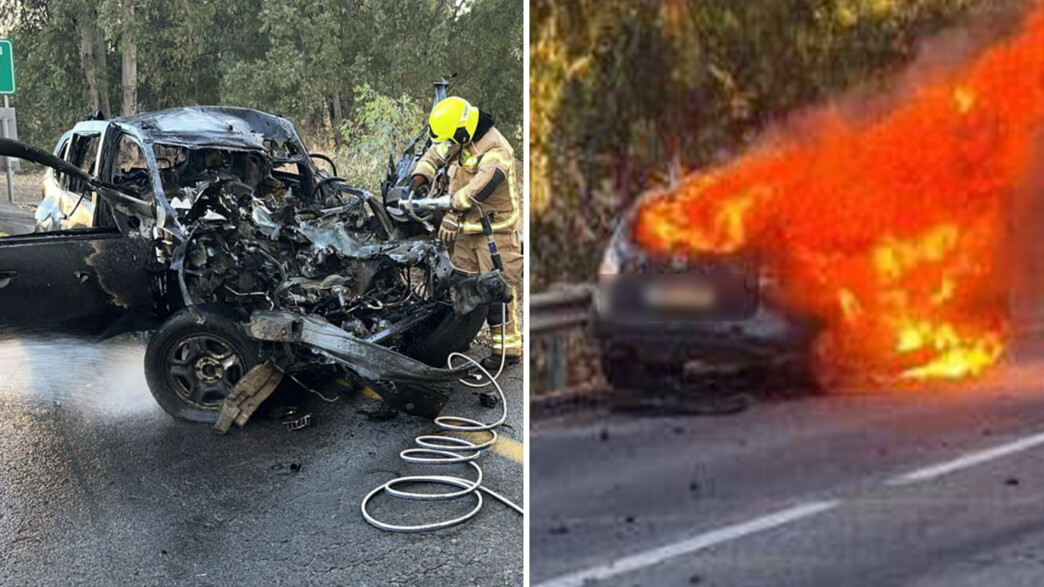 שני פצועים אנוש מהירי לגולן (צילום: דוברות כבאות והצלה)