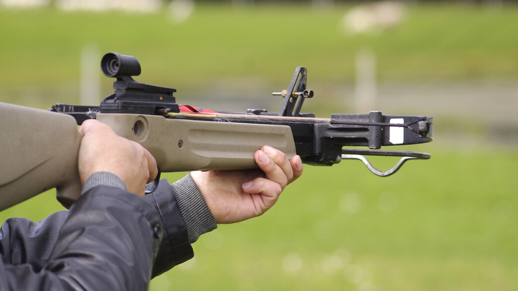 קשת מוצלבת אילוסטרציה