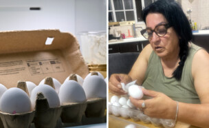 מנגבת ביצים לפני השימוש. צילום עליזה ביג'ו: מור ביג'ו (צילום: conzorb, SHUTTERSTOCK)