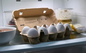 תבנית ביצים במקרר (צילום: conzorb, SHUTTERSTOCK)