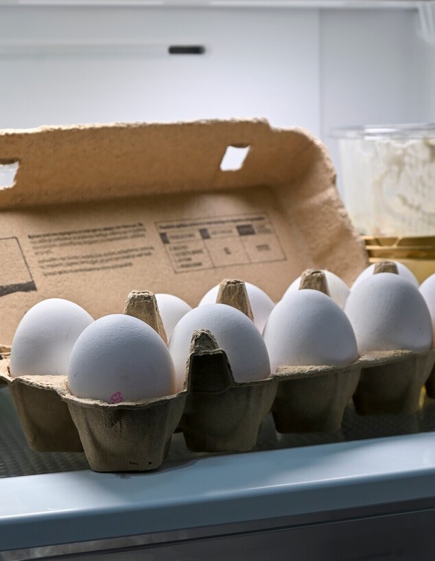 תבנית ביצים במקרר