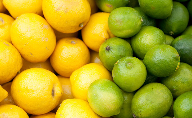 לימון וליים (צילום: A. Laengauer, shutterstock)