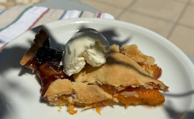 פרוסת פאי משמשים וריבת שזיפים