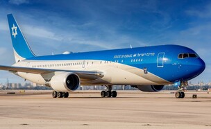 כנף ציון (צילום: עידו וכטל)