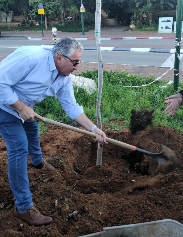 עצי פרי ג יער מאכל רעננה ראש העיר חיים ברוידא (צילום: מירי ישראלי)