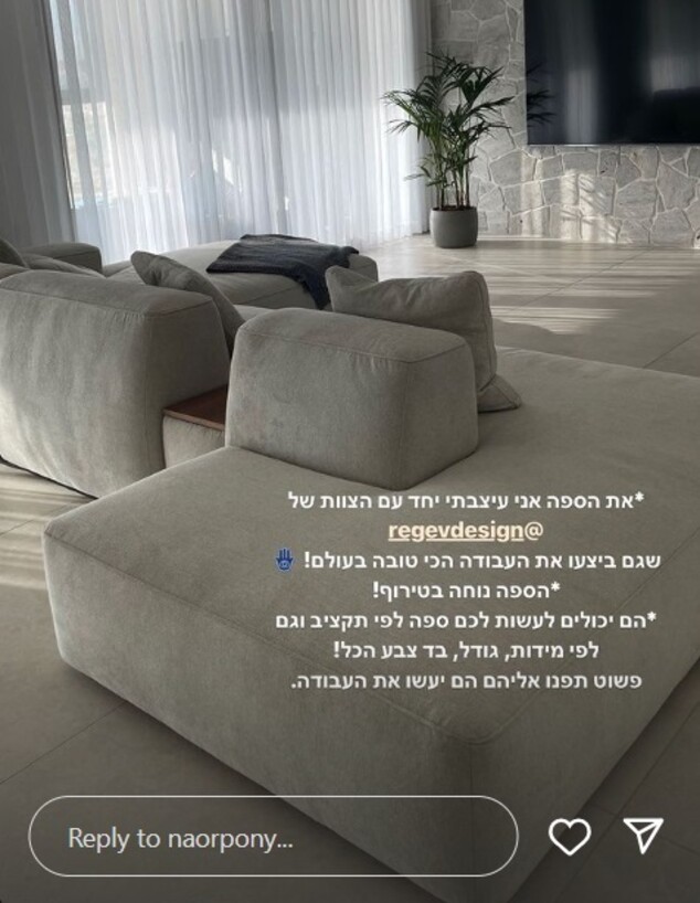 מציצים מאור אדרי ג קיר אבני לקט וספה בסלון (צילום: מתוך האינסטגרם של נאור)
