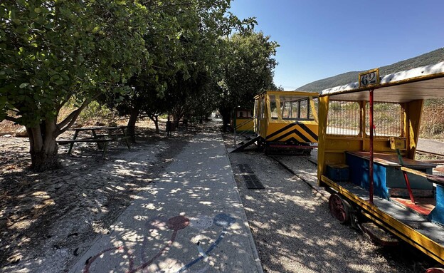פארק הקטר מעיין אלרואי  (צילום: מירב טלמור-קשי)