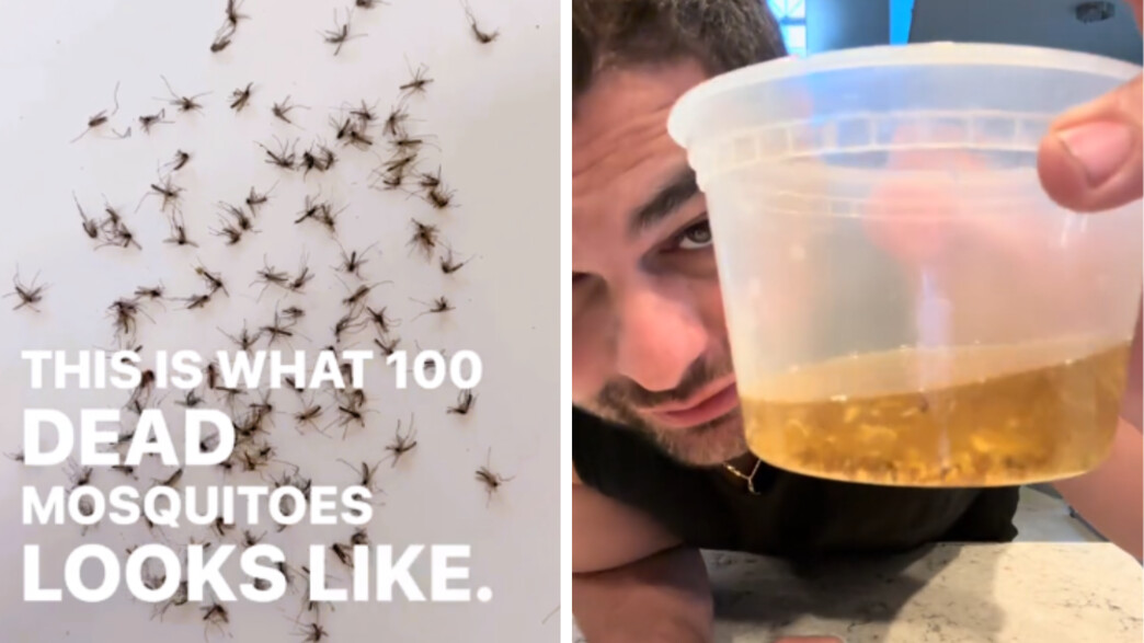 מלכודת יתושים DIY מלכודת יתושים DIY