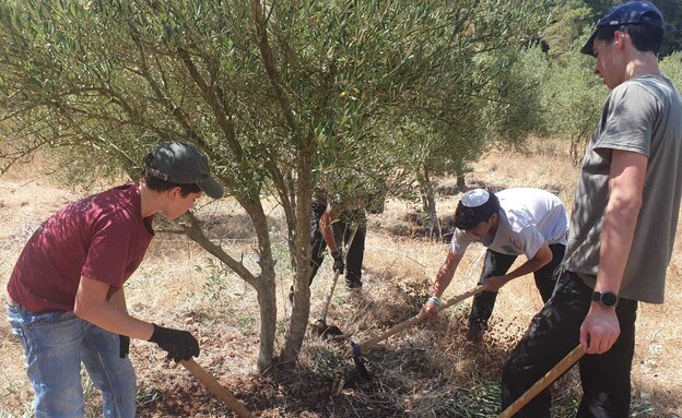 תלמידים חקלאים  (צילום: מיכאל מואטי)