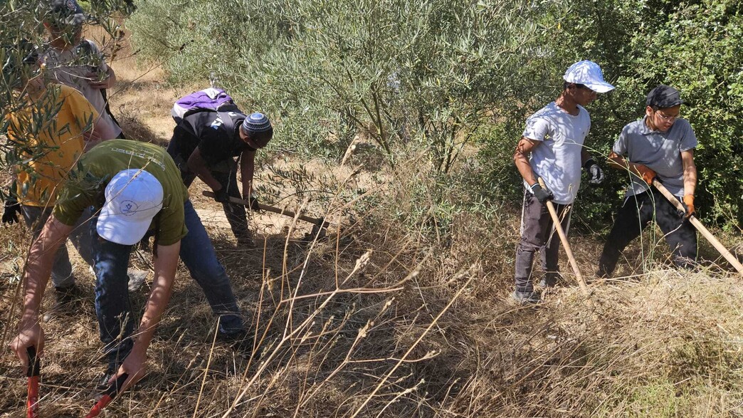 תלמידים חקלאים  (צילום: מיכאל מואטי)