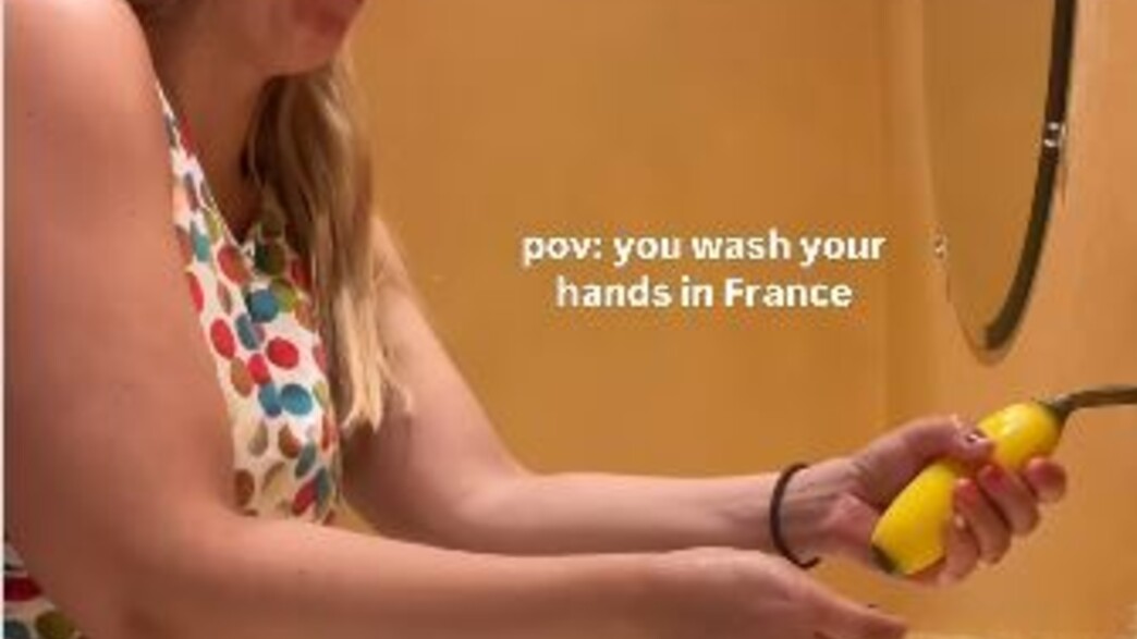 סבוניה ויראלית במלון בצרפת, סבונייה