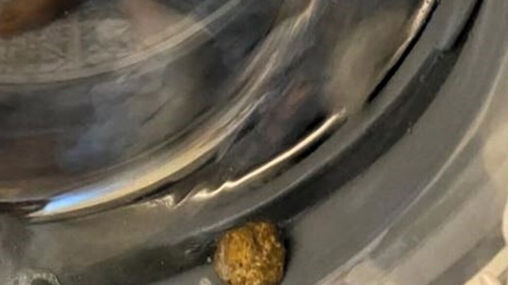 קקי במכונת כביסה, מקבוצת הפייסבוק חולי ניקיון- הקבוצה הרשמית קקי במכונת כביסה, מקבוצת הפייסבוק חולי ניקיון- הקבוצה הרשמית