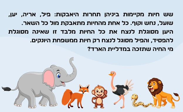 חידת החיות  (צילום: הפרופסור הלא מפוזר)