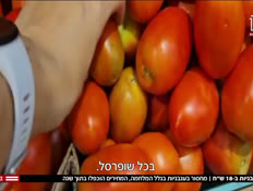 20tomatos_vtr2_n20240807_v1 (צילום: חדשות)