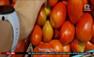 20tomatos_vtr2_n20240807_v1 (צילום: חדשות)