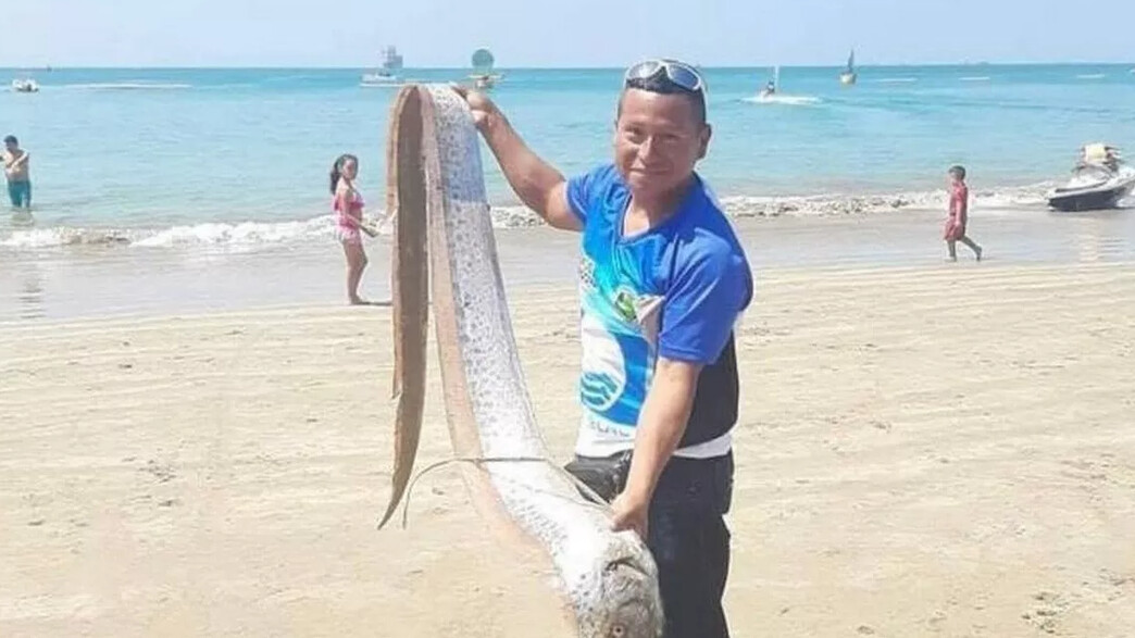 דג משוט באקוודור