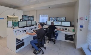 תאי לחץ (צילום: שאטרסטוק)