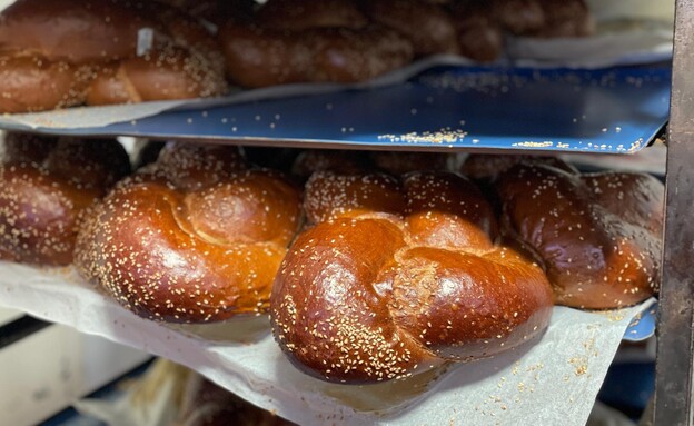 מאפיית סלפק (צילום: אסי גל) מאפיית סלפק (צילום: אסי גל)