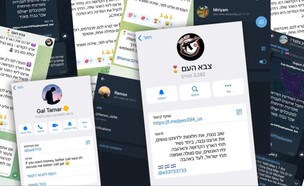  צילומי מסך של הפרופילים הפיקטיביים (צילום: תקשורת שב"כ)