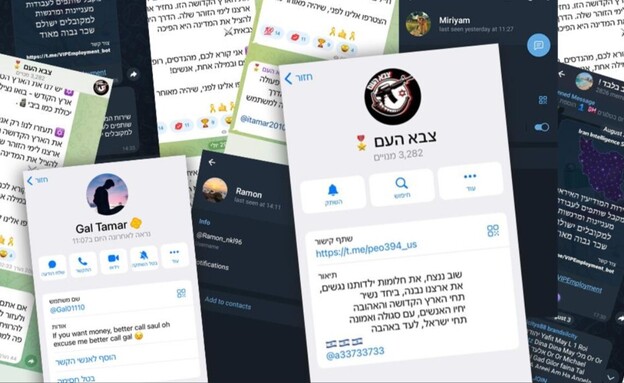  צילומי מסך של הפרופילים הפיקטיביים (צילום: תקשורת שב"כ)