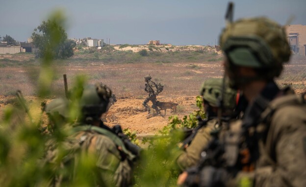 תיעוד פעילות כוחות צה