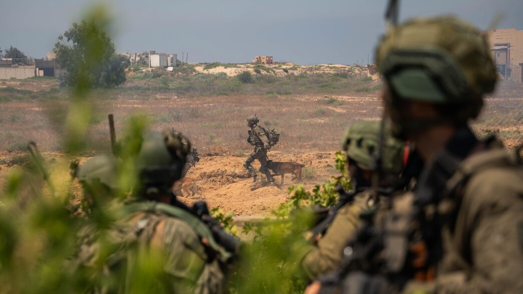 תיעוד פעילות כוחות צה"ל ברצועת עזה (צילום: דובר צה"ל)