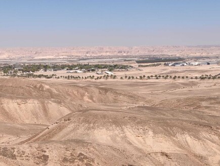 "מזעזע ומחריד": שני עובדים במלון בערבה נעצרו בחשד שהשליכו כלב למדורה