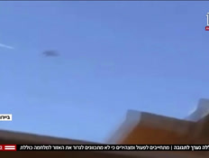 20hizballa_vtr2_n20240812_v1 (צילום: חדשות)