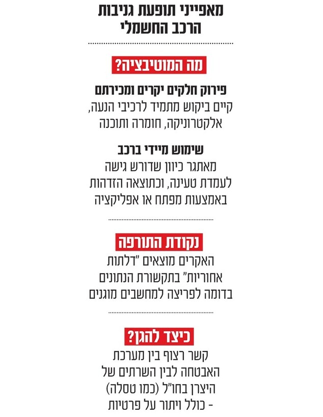 אינפו גלובס גניבות רכב חשמלי (אינפוגרפיקה: גלובס)