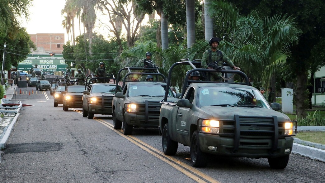 כוחות הביטחון במקסיקו, ארכיון