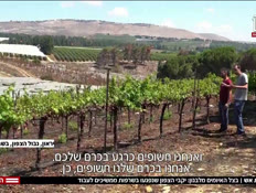 20wine_vtr2_n20240815_v1 (צילום: חדשות)