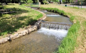 גן לאומי חורשת טל (צילום: מג'די דמקסי, רשות הטבע והגנים)