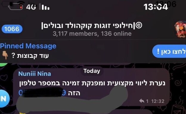 צילומי מסך (צילום: פרטי)