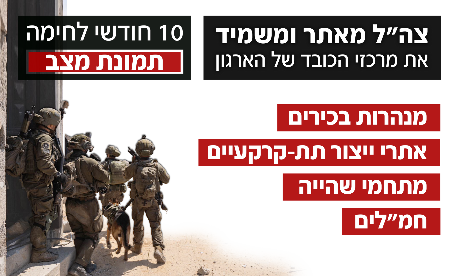 10 חודשי לחימה