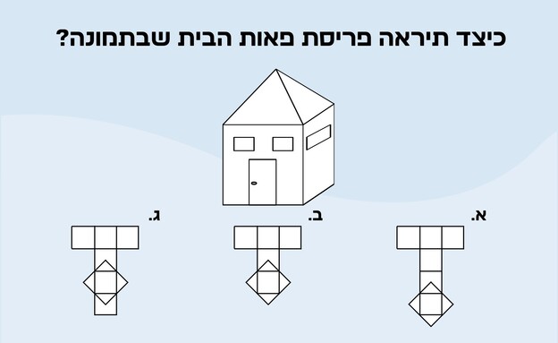 חידת פריסת הבית (איור: הפרופסור הלא המפוזר)