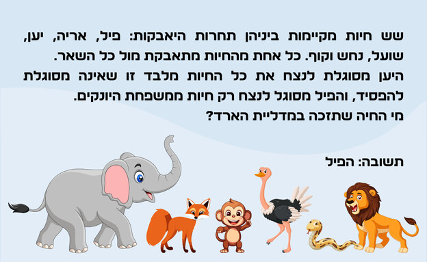 חידת היאבקות החיות - תשובה (איור: הפרופסור הלא המפוזר)