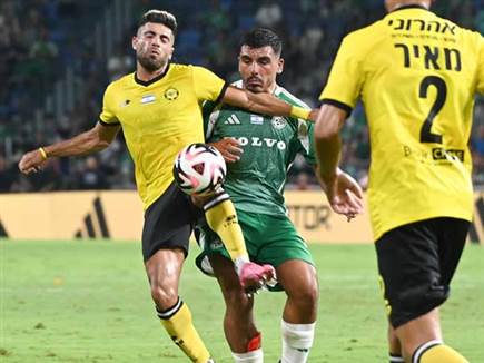 המאבק העיקש נמשך (ברני ארדוב)