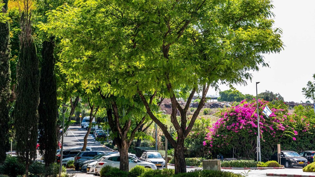 המכללה האקדמית עמק יזרעאל - כתבה 3 המכללה האקדמית עמק יזרעאל - כתבה 3