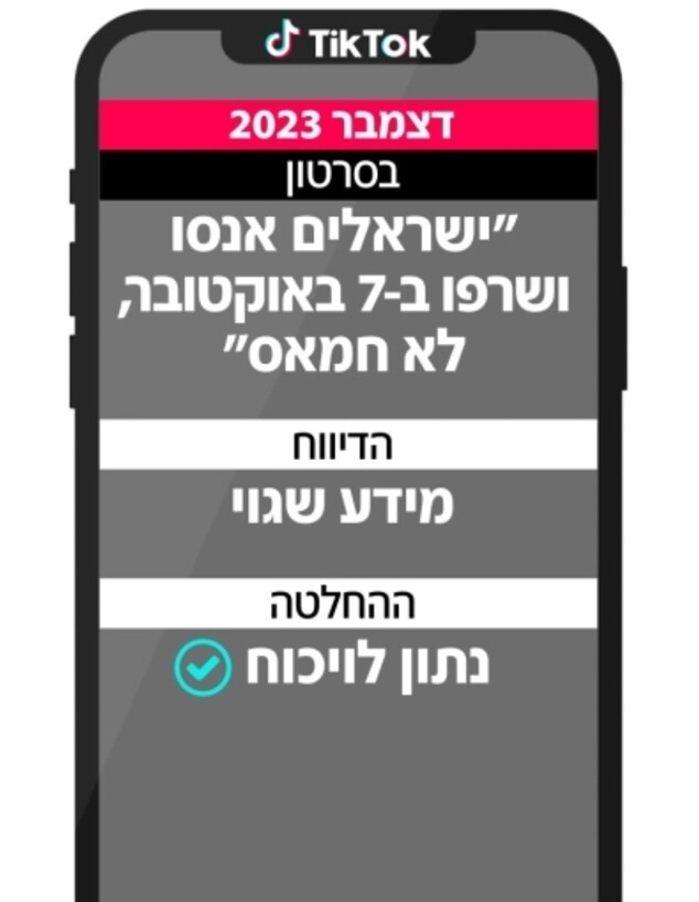 ההחלטות האנטי ישראליות בטיקטוק (אינפוגרפיקה: N12)