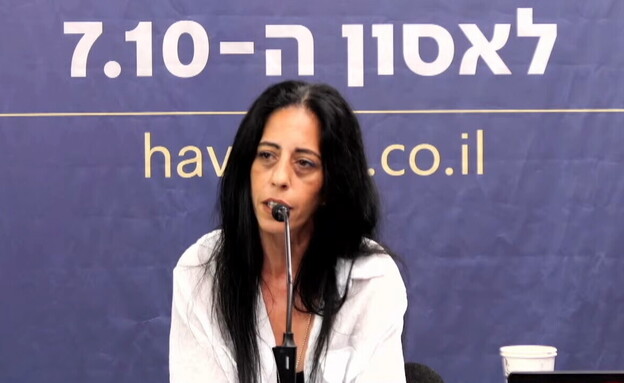 עינב צנגאוקר בועדת החקירה האזרחית (צילום: ועדת החקירה האזרחית לאסון ה-7.10)