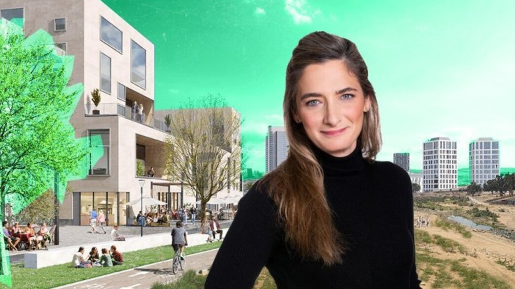 נדלן 20.8 נדלן 20.8