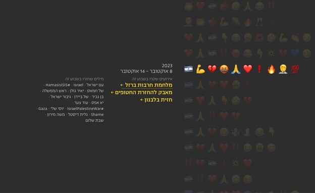 הפרויקט של הדר מייני ודניאלה פרידמן (צילום: צילום מסך)