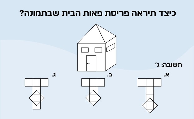 חידת פריסת הבית עם תשובה (איור: הפרופסור הלא המפוזר)